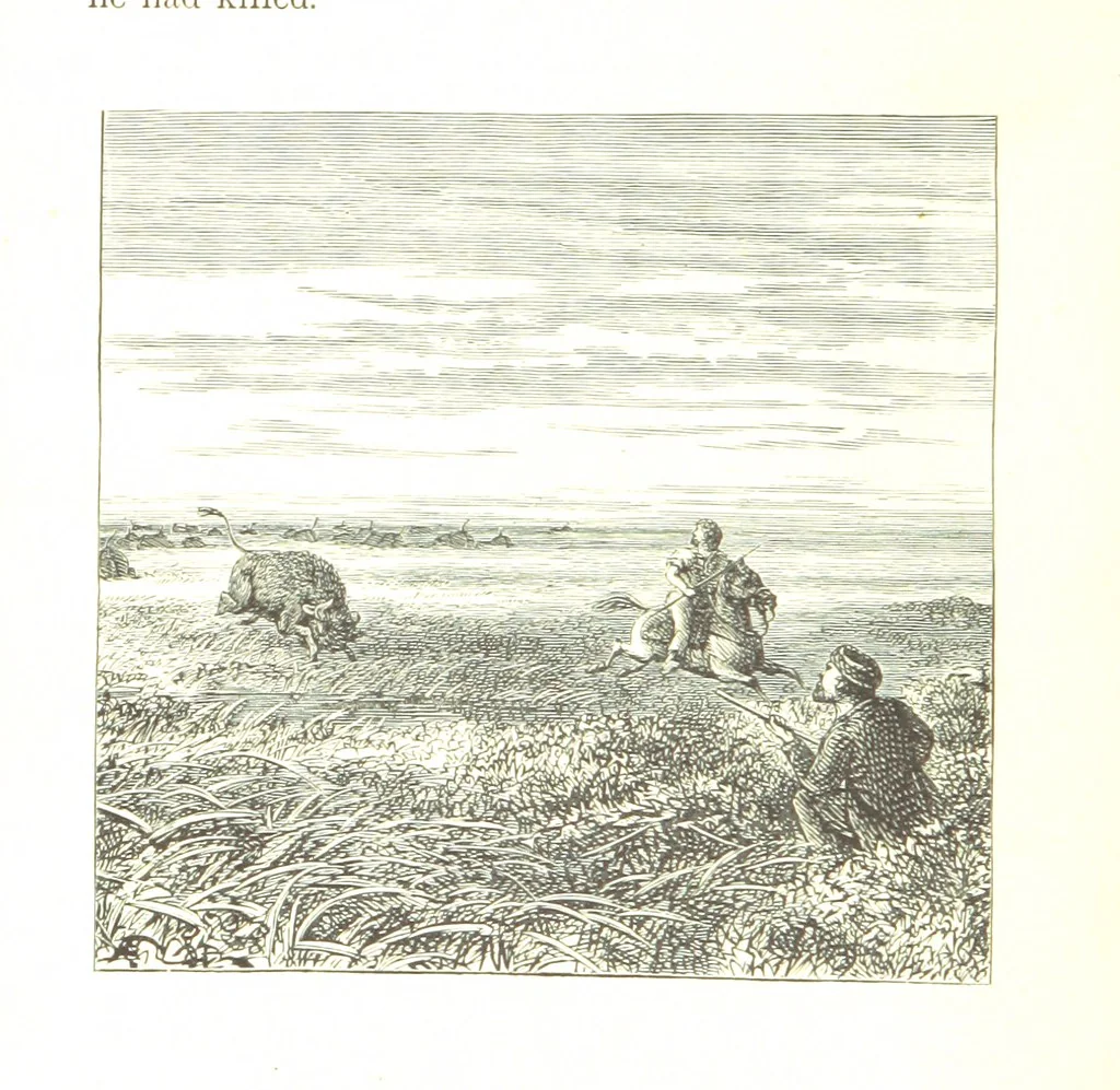 An illustration from The Young Ranchmen; or, Perils of Pioneering in the Wild West ... Illustrated by Walter S. Stacey, 1891, leaf 56