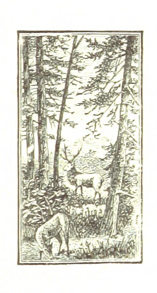 An illustration from The Young Ranchmen; or, Perils of Pioneering in the Wild West ... Illustrated by Walter S. Stacey, 1891, leaf 97