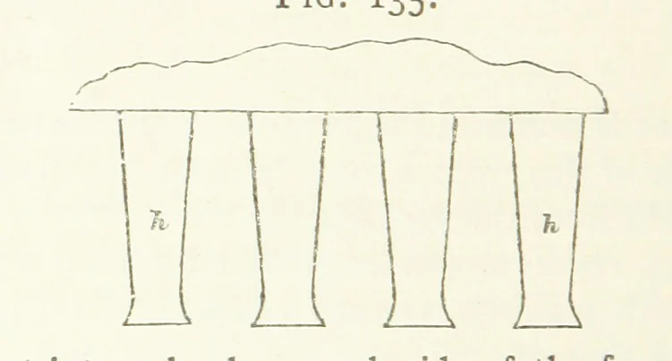 An illustration from A practical Treatise on Metallurgy, adapted from the last German edition of Professor K.'s Metallurgy, by W. Crookes and E. Röhrig ... Illustrated, etc, 1868, leaf 824