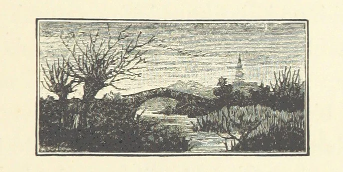 An illustration from Rollica Reed. [A tale.] ... Illustrated, etc, 1890, leaf 23
