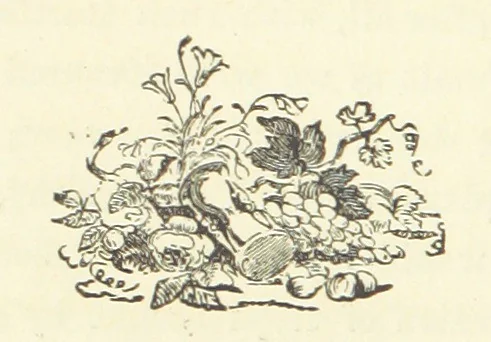 An illustration from Lord Maskelyne's Daughter. A story of the Northern Border ... Author's edition, 1880, leaf 24