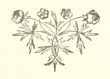 An illustration from My Home in the Shires. A romance. Author's edition, 1876, leaf 103