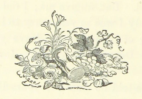 An illustration from My Home in the Shires. A romance. Author's edition, 1876, leaf 112