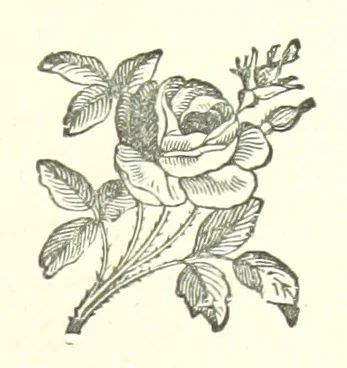 An illustration from My Home in the Shires. A romance. Author's edition, 1876, leaf 165