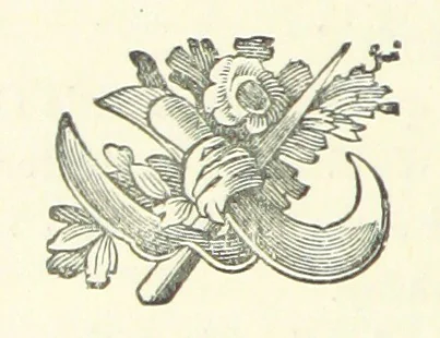 An illustration from My Home in the Shires. A romance. Author's edition, 1876, leaf 176