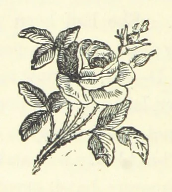 An illustration from My Home in the Shires. A romance. Author's edition, 1876, leaf 296