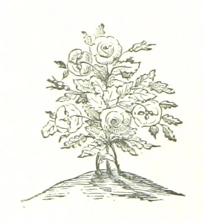 An illustration from My Home in the Shires. A romance. Author's edition, 1876, leaf 56