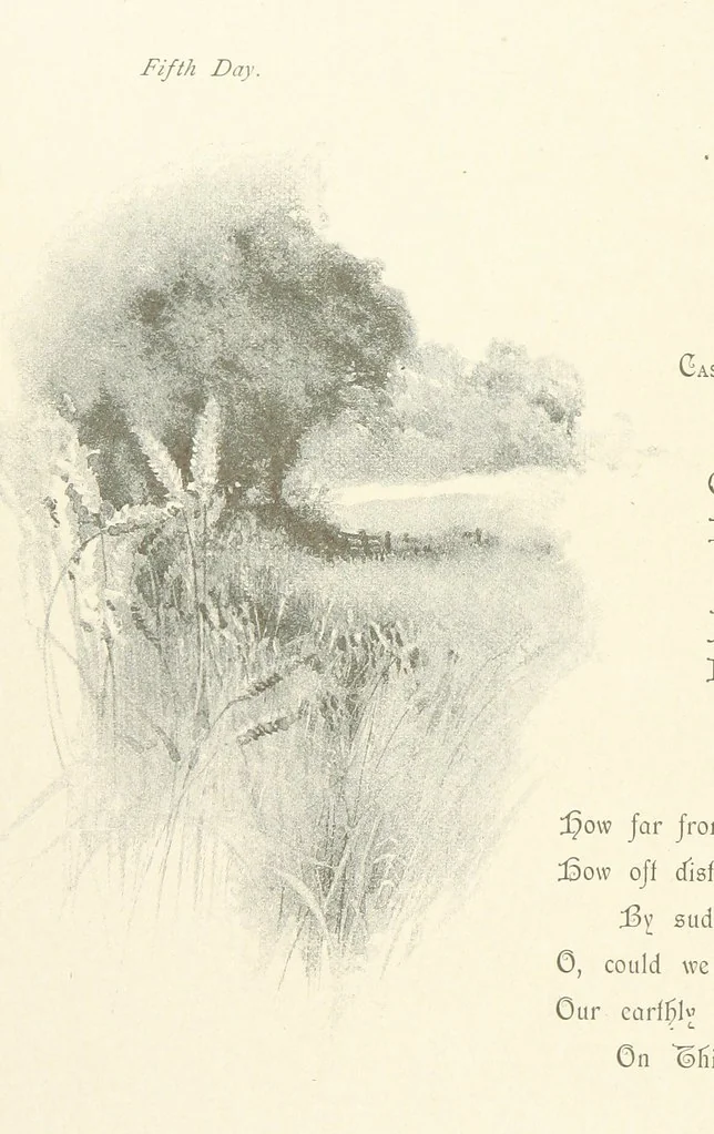 An illustration from The King's Highway, daily texts & hymns for a month. Illustrated by F. Hines, 1890, leaf 14