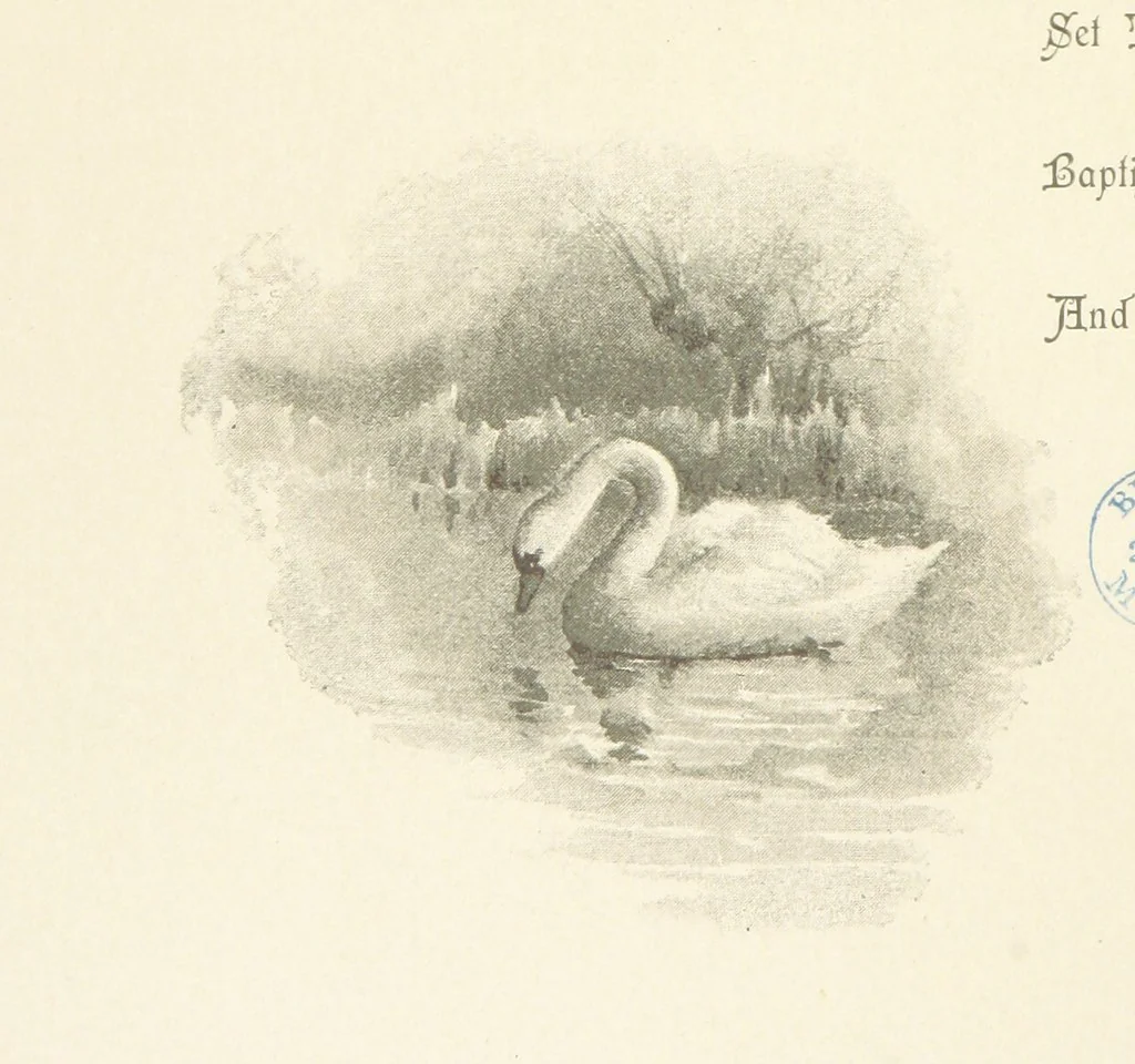 An illustration from The King's Highway, daily texts & hymns for a month. Illustrated by F. Hines, 1890, leaf 30