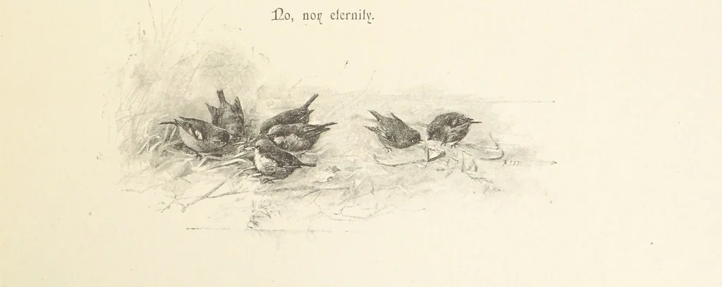 An illustration from The King's Highway, daily texts & hymns for a month. Illustrated by F. Hines, 1890, leaf 39