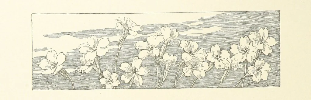 An illustration from The King's Highway, daily texts & hymns for a month. Illustrated by F. Hines, 1890, leaf 8