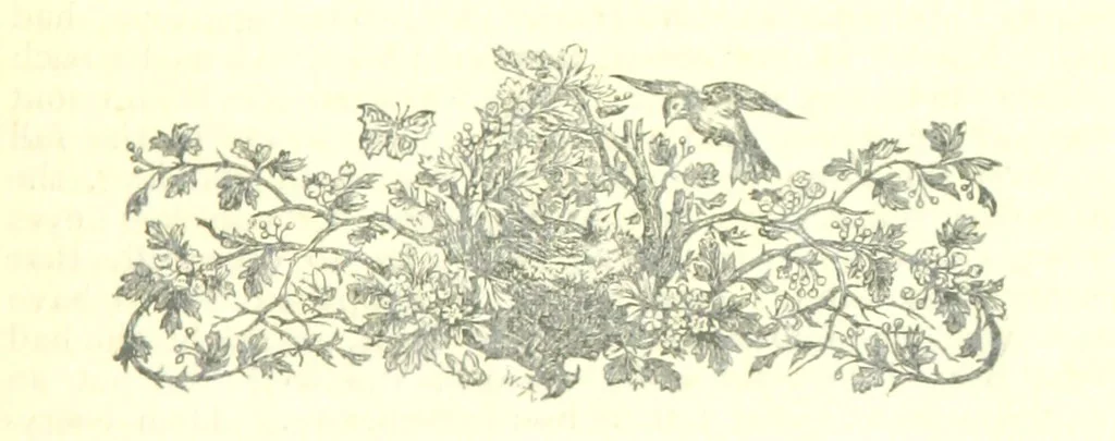 An illustration from The Strange Story at Lee, 1887, leaf 147