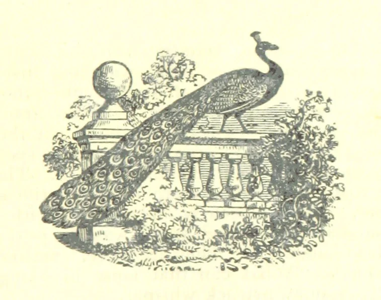 An illustration from The Strange Story at Lee, 1887, leaf 153