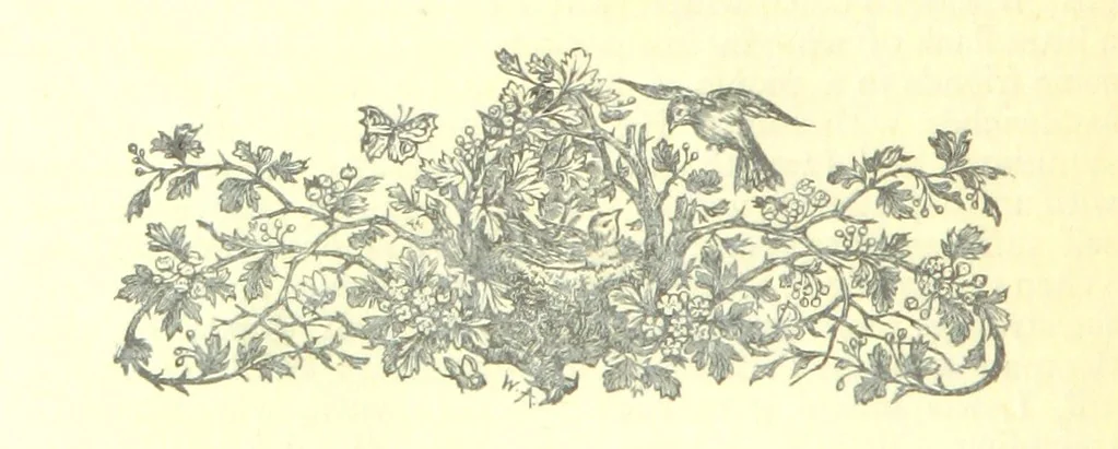 An illustration from The Strange Story at Lee, 1887, leaf 88
