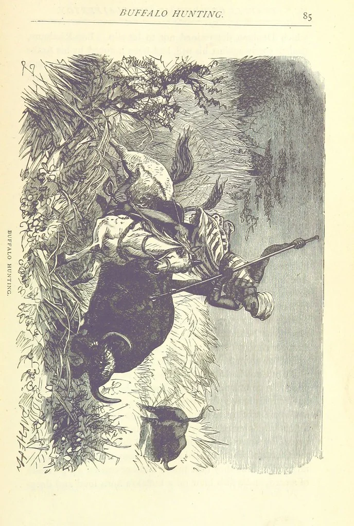 An illustration from Great African Travellers from Mungo Park to Livingstone and Stanley, etc, 1874, leaf 105