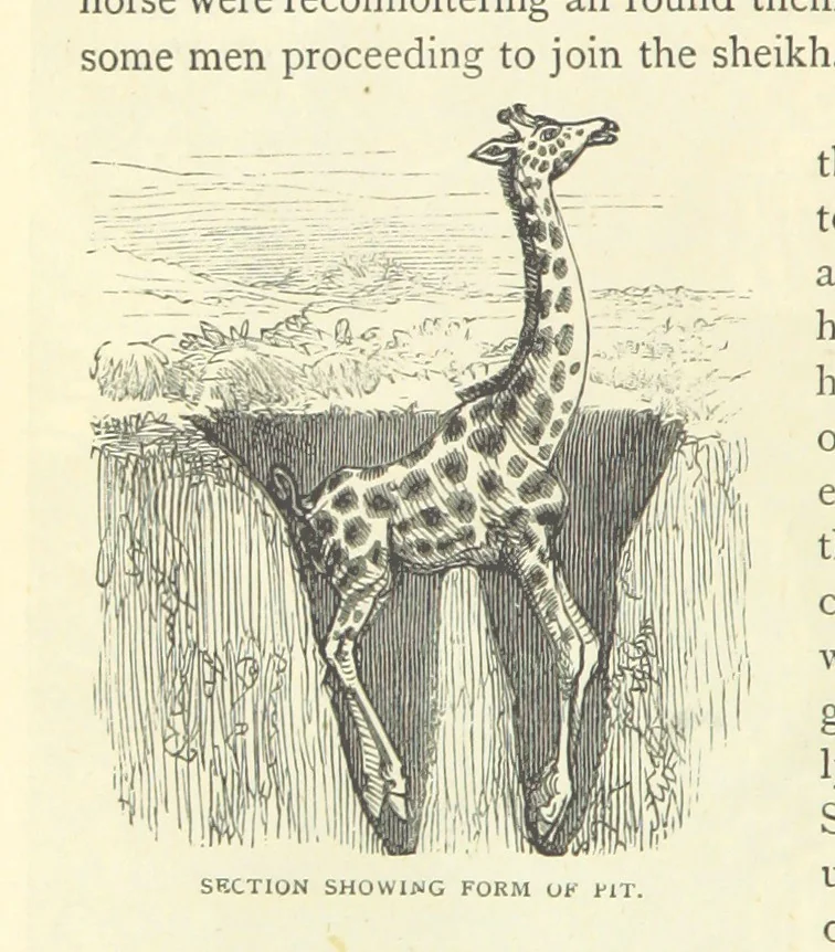 An illustration from Great African Travellers from Mungo Park to Livingstone and Stanley, etc, 1874, leaf 120