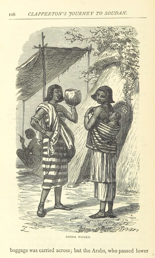 An illustration from Great African Travellers from Mungo Park to Livingstone and Stanley, etc, 1874, leaf 136