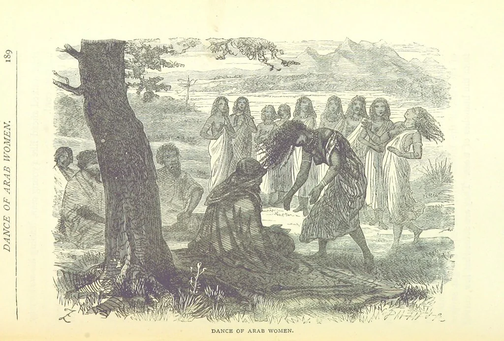 An illustration from Great African Travellers from Mungo Park to Livingstone and Stanley, etc, 1874, leaf 209