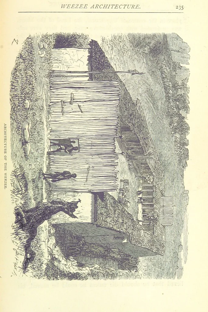 An illustration from Great African Travellers from Mungo Park to Livingstone and Stanley, etc, 1874, leaf 255