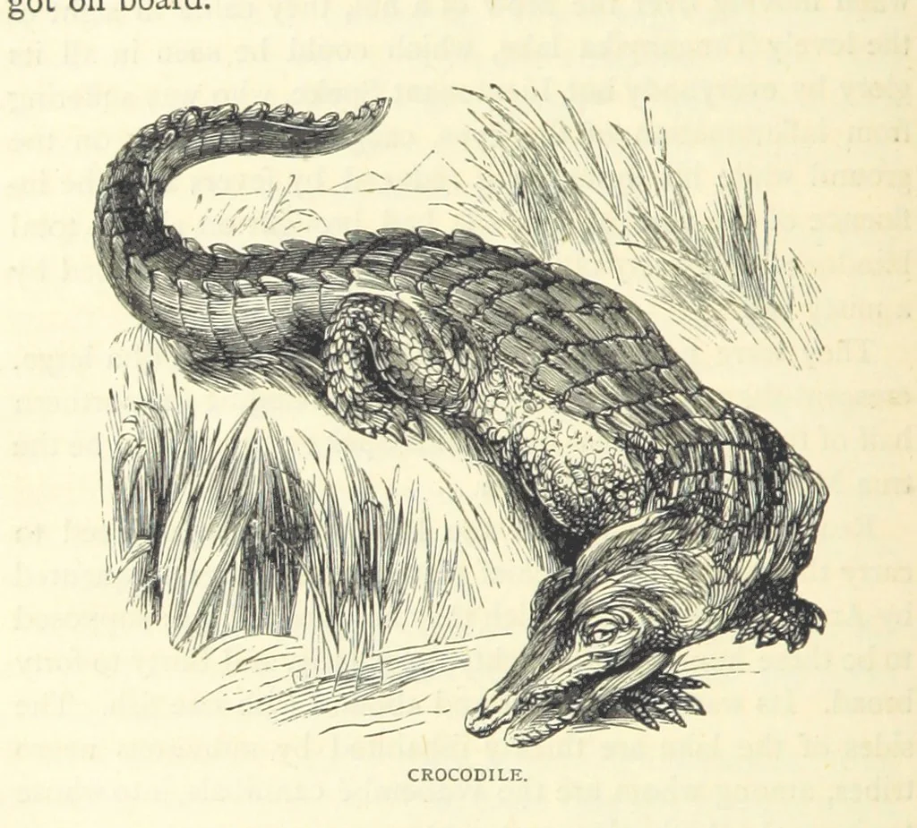 An illustration from Great African Travellers from Mungo Park to Livingstone and Stanley, etc, 1874, leaf 258