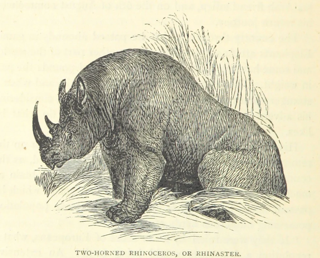 An illustration from Great African Travellers from Mungo Park to Livingstone and Stanley, etc, 1874, leaf 268