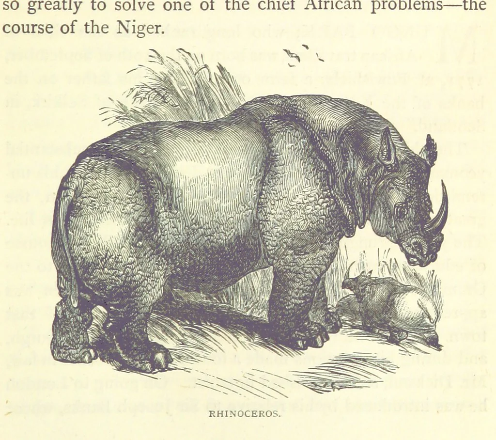 An illustration from Great African Travellers from Mungo Park to Livingstone and Stanley, etc, 1874, leaf 27