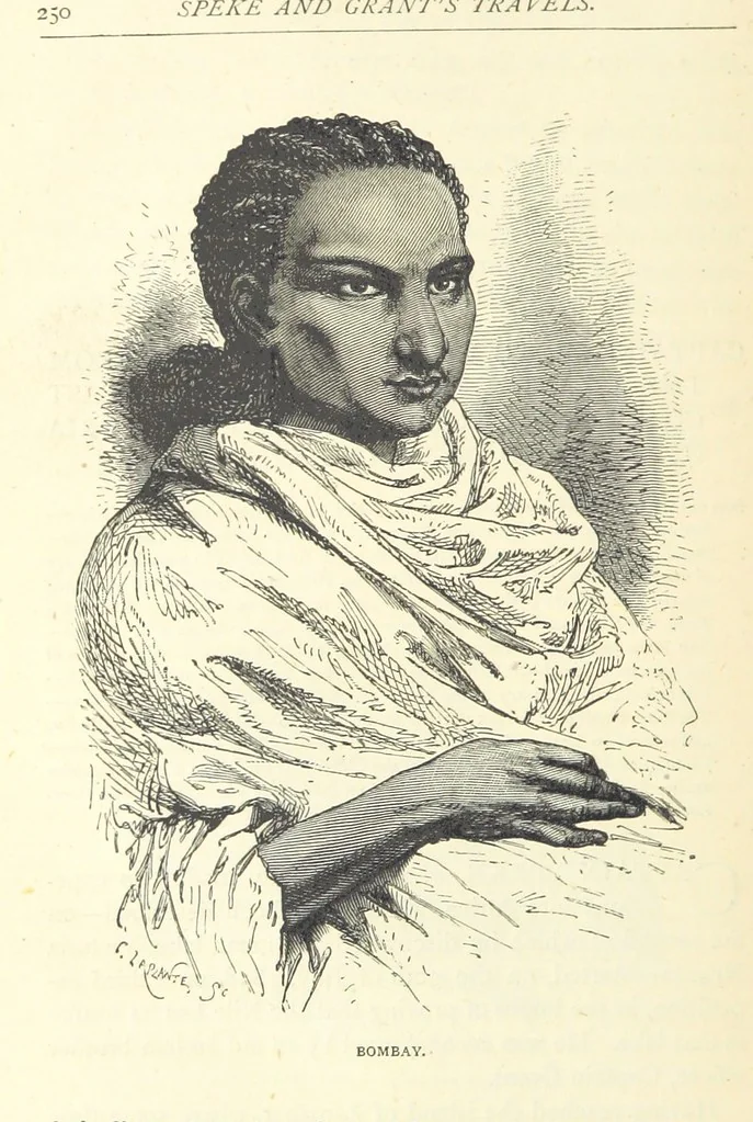 An illustration from Great African Travellers from Mungo Park to Livingstone and Stanley, etc, 1874, leaf 270