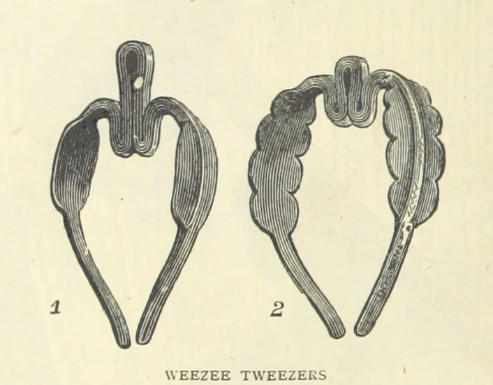 An illustration from Great African Travellers from Mungo Park to Livingstone and Stanley, etc, 1874, leaf 280