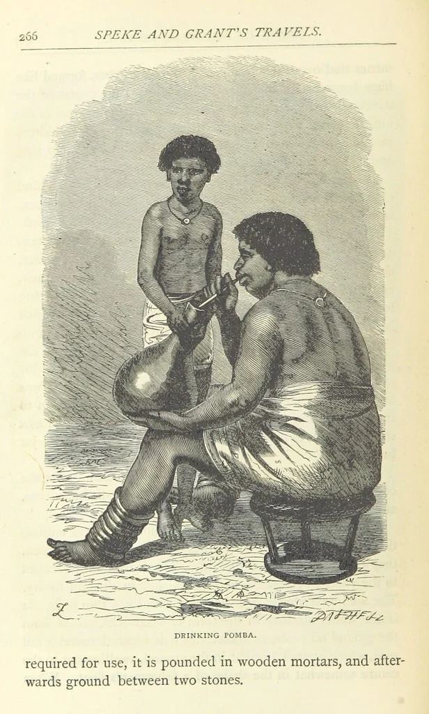 An illustration from Great African Travellers from Mungo Park to Livingstone and Stanley, etc, 1874, leaf 286