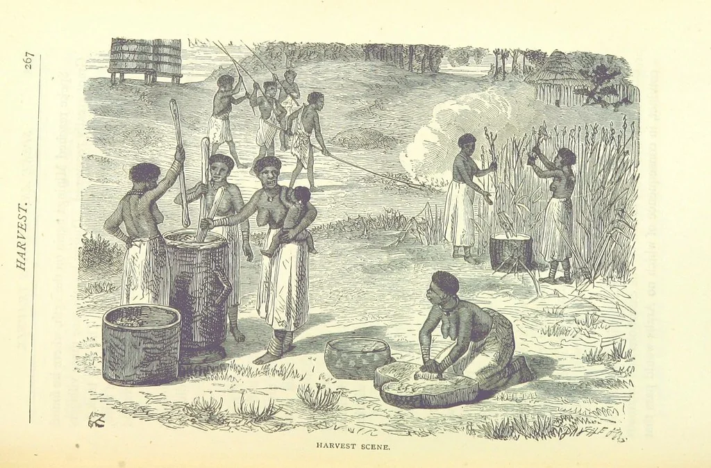 An illustration from Great African Travellers from Mungo Park to Livingstone and Stanley, etc, 1874, leaf 287