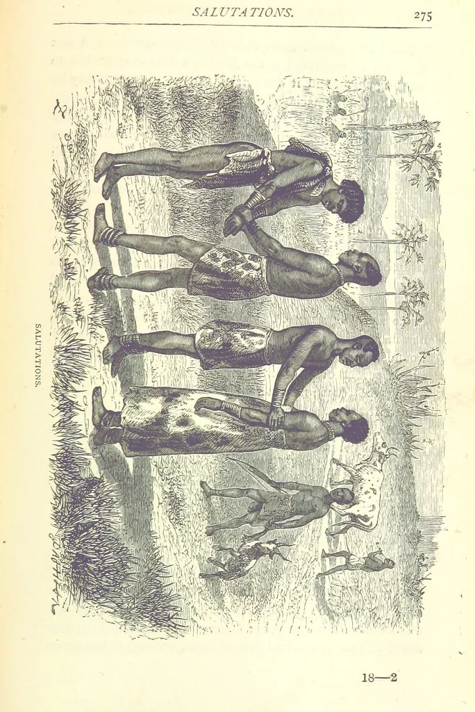 An illustration from Great African Travellers from Mungo Park to Livingstone and Stanley, etc, 1874, leaf 295