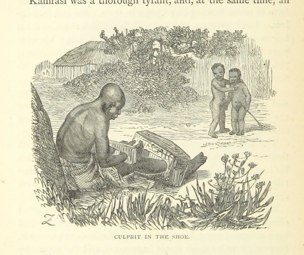 An illustration from Great African Travellers from Mungo Park to Livingstone and Stanley, etc, 1874, leaf 338