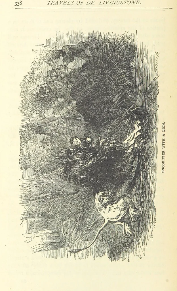 An illustration from Great African Travellers from Mungo Park to Livingstone and Stanley, etc, 1874, leaf 358