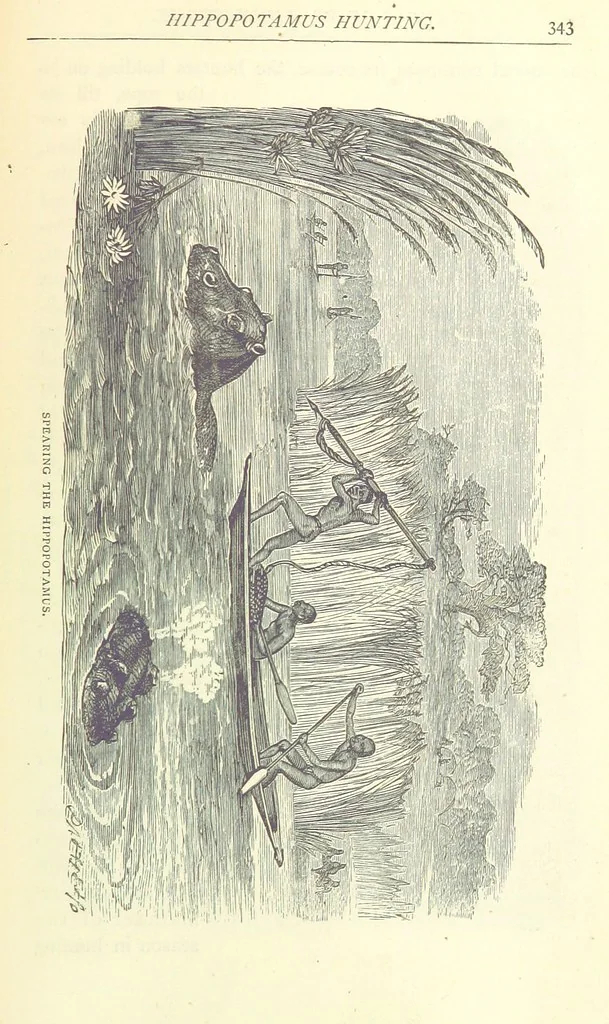 An illustration from Great African Travellers from Mungo Park to Livingstone and Stanley, etc, 1874, leaf 363