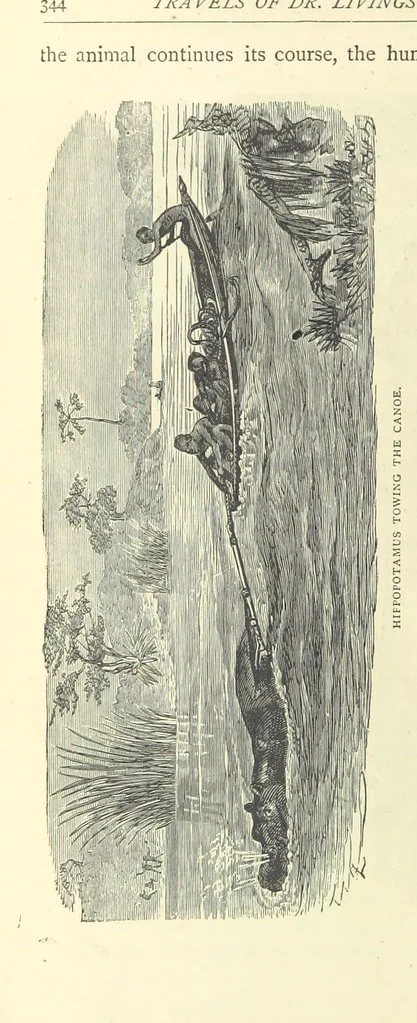 An illustration from Great African Travellers from Mungo Park to Livingstone and Stanley, etc, 1874, leaf 364