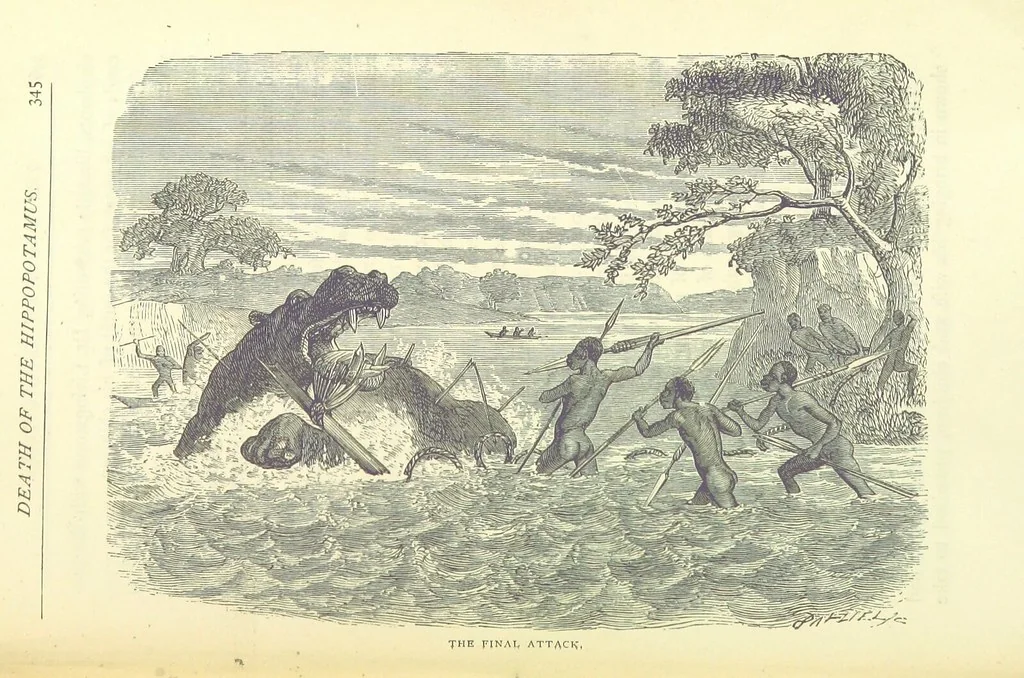 An illustration from Great African Travellers from Mungo Park to Livingstone and Stanley, etc, 1874, leaf 365