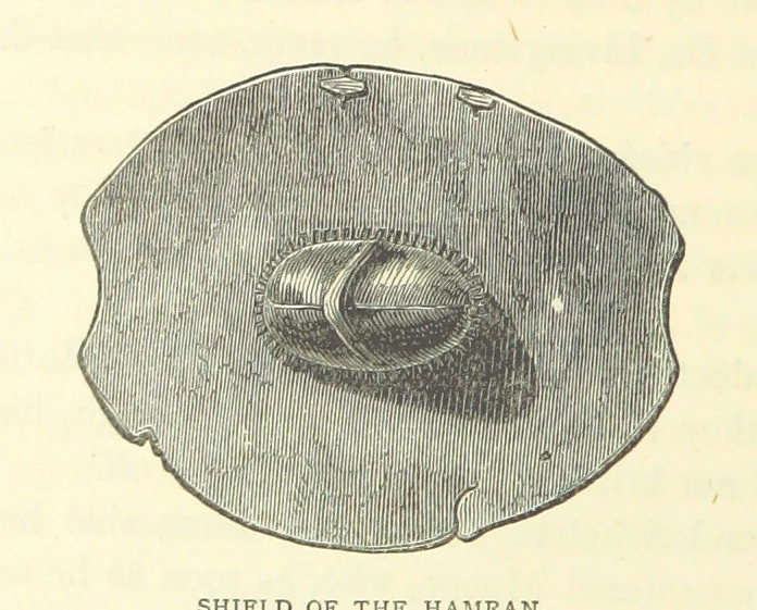 An illustration from Great African Travellers from Mungo Park to Livingstone and Stanley, etc, 1874, leaf 370