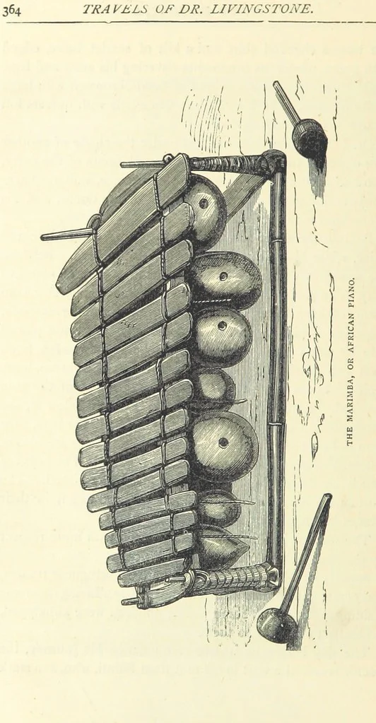 An illustration from Great African Travellers from Mungo Park to Livingstone and Stanley, etc, 1874, leaf 384