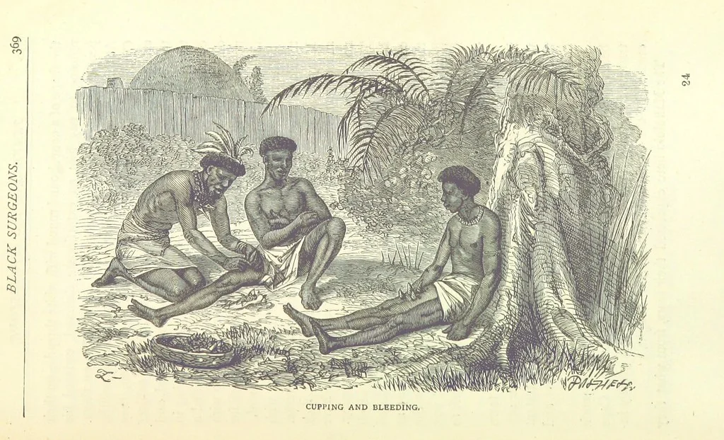 An illustration from Great African Travellers from Mungo Park to Livingstone and Stanley, etc, 1874, leaf 389