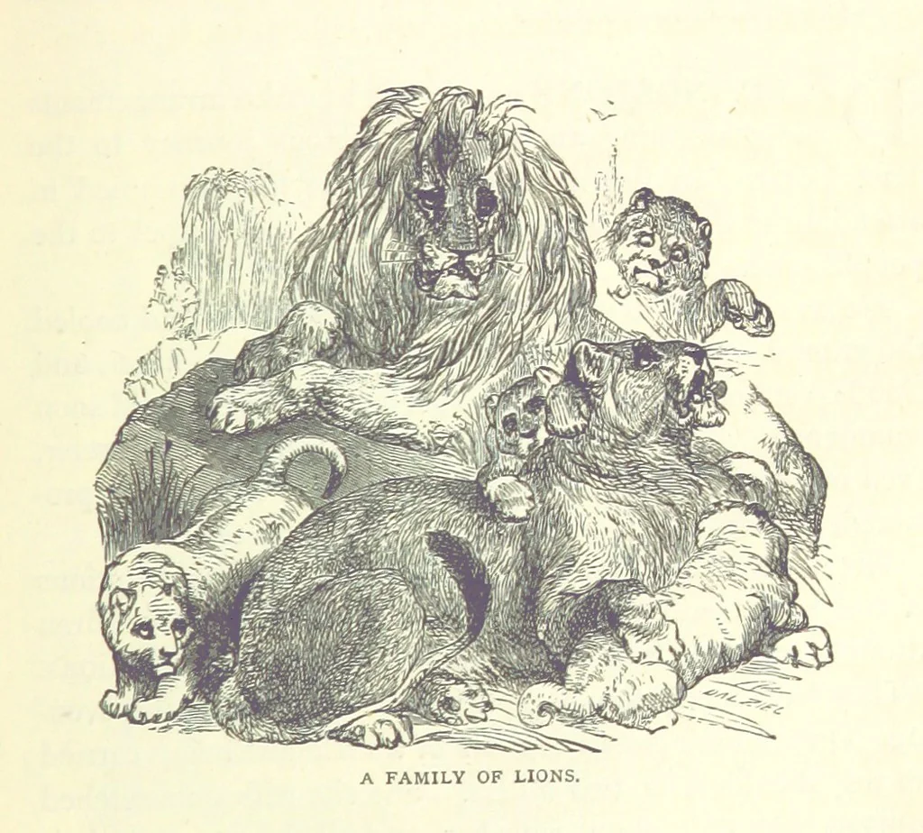 An illustration from Great African Travellers from Mungo Park to Livingstone and Stanley, etc, 1874, leaf 403
