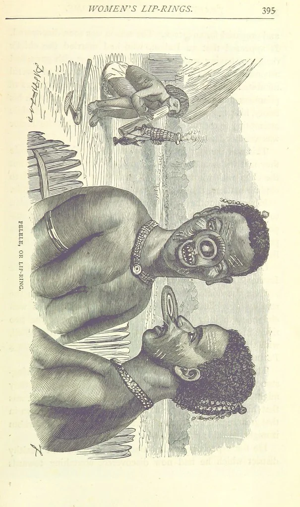 An illustration from Great African Travellers from Mungo Park to Livingstone and Stanley, etc, 1874, leaf 415