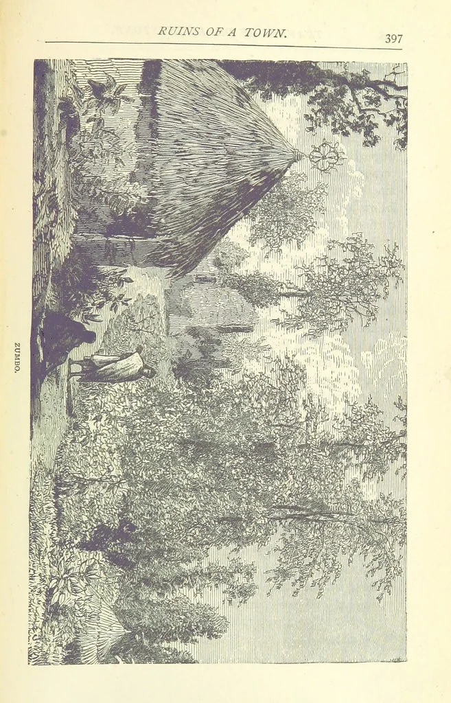 An illustration from Great African Travellers from Mungo Park to Livingstone and Stanley, etc, 1874, leaf 417
