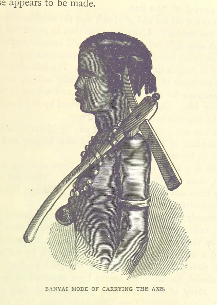 An illustration from Great African Travellers from Mungo Park to Livingstone and Stanley, etc, 1874, leaf 421