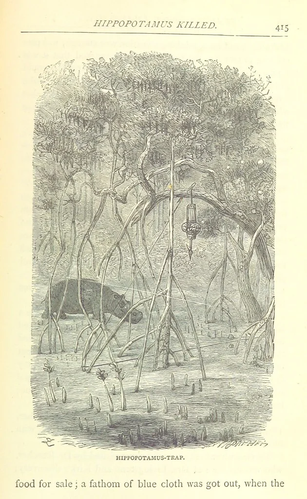 An illustration from Great African Travellers from Mungo Park to Livingstone and Stanley, etc, 1874, leaf 435