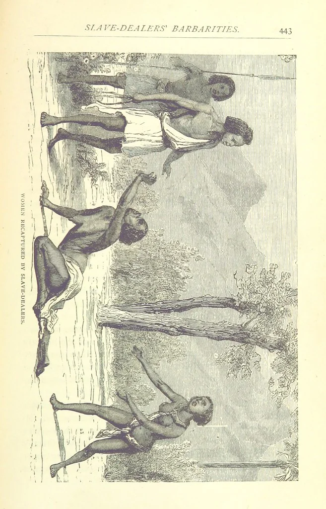 An illustration from Great African Travellers from Mungo Park to Livingstone and Stanley, etc, 1874, leaf 463
