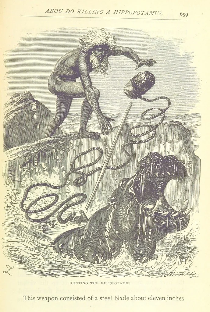 An illustration from Great African Travellers from Mungo Park to Livingstone and Stanley, etc, 1874, leaf 479