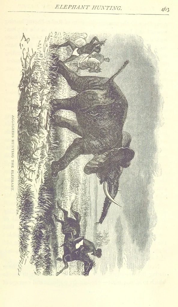 An illustration from Great African Travellers from Mungo Park to Livingstone and Stanley, etc, 1874, leaf 483