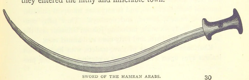 An illustration from Great African Travellers from Mungo Park to Livingstone and Stanley, etc, 1874, leaf 485