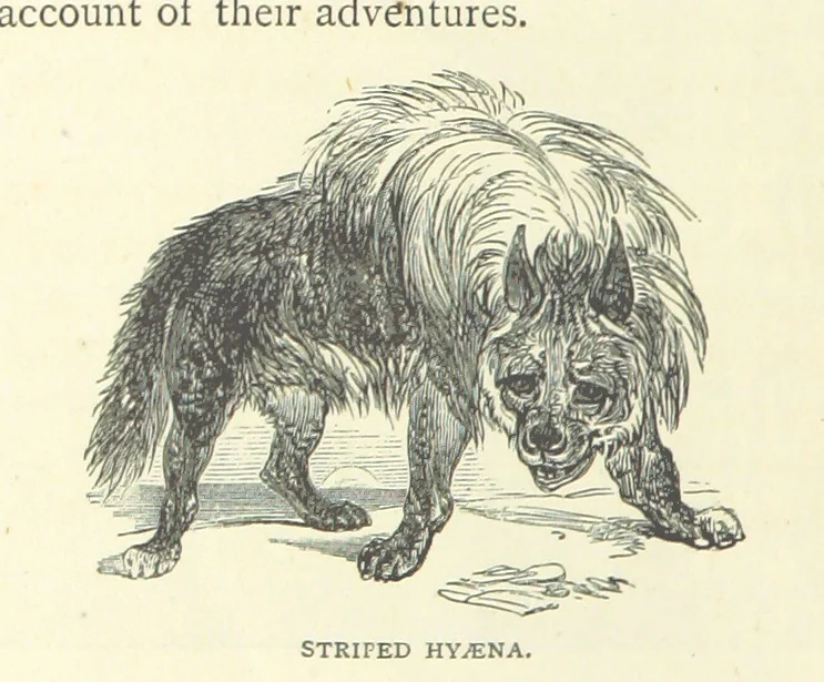 An illustration from Great African Travellers from Mungo Park to Livingstone and Stanley, etc, 1874, leaf 518