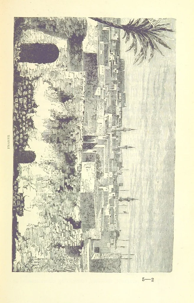 An illustration from Great African Travellers from Mungo Park to Livingstone and Stanley, etc, 1874, leaf 87